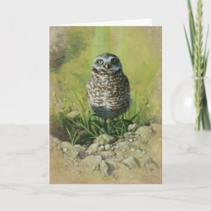 Cartão Burrowing Owl, Blank Greetin Card by Andrew Denman