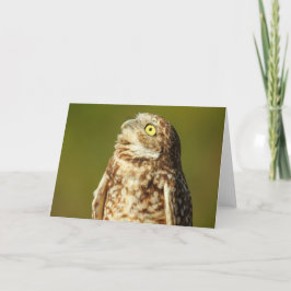 Cartão Burrowing Owl Notecard