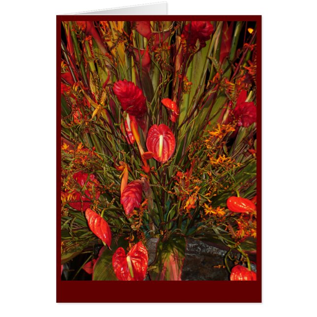 Cartão Burst Tropical (Frente)