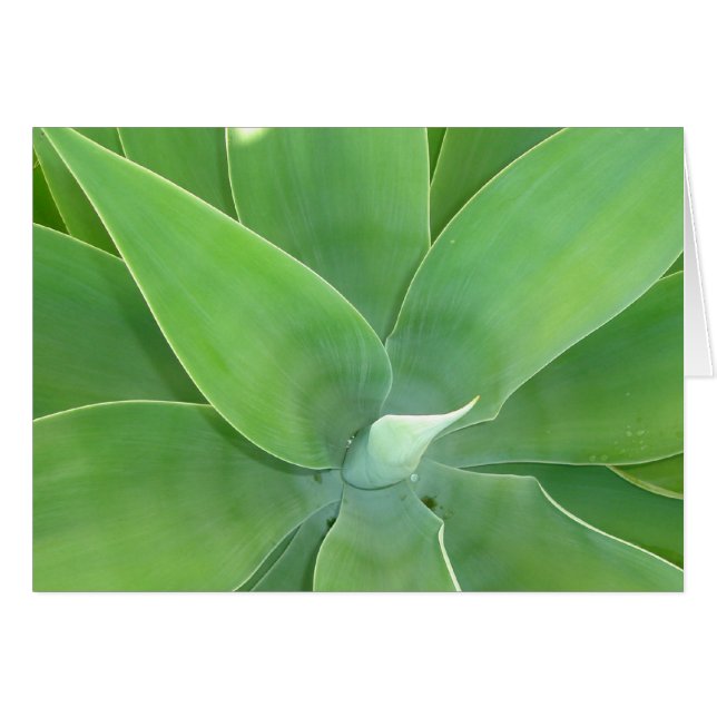 Cartão Burst Verde v2 (Frente horizontal)