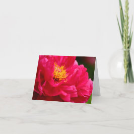 Cartão Bush Peonie 2 de Cathy 2013