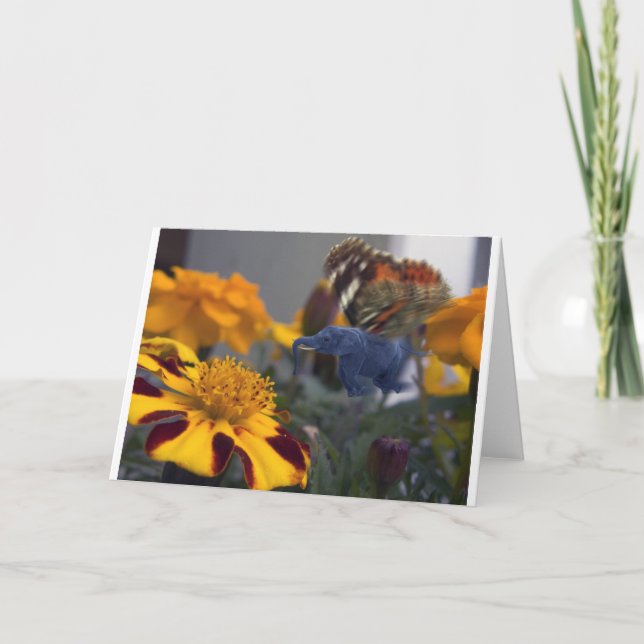 Cartão Buttephant (Frente)