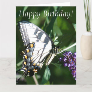 Cartão Butterfly Birthday Big Greeting Card