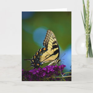 Cartão Butterfly, card