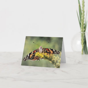 Cartão Butterfly Congratulations Card
