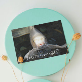 Cartão Butterfly Koi Foto Engraçada Aniversário