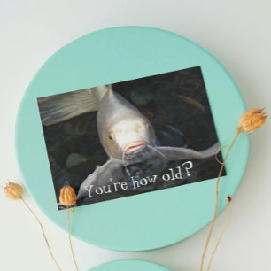 Cartão Butterfly Koi Foto Engraçada Aniversário