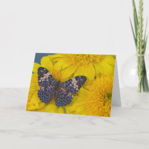 Cartão Butterfly on a Yellow Flower