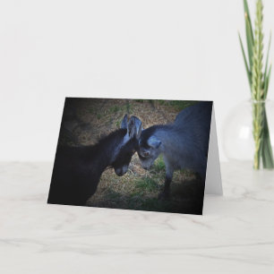 Cartão Butting Heads Card