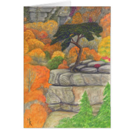 Cartão Buzzard's Roost - Fall Creek Falls State Park