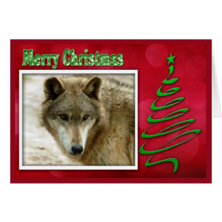 Cartão c-2011-cinza-lobo-048