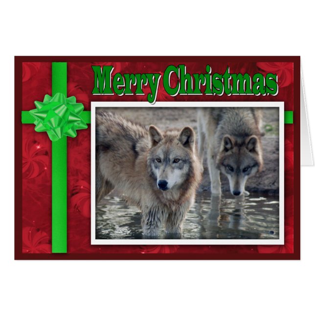 Cartão c-2011-cinza-lobo-053 (Frente Horizontal)