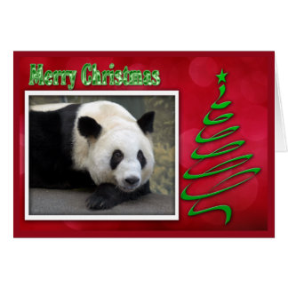 Cartão c-2011-panda-0059