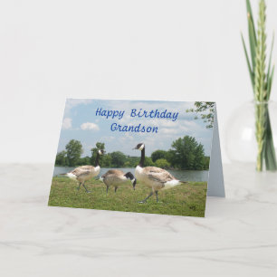 Cartão C. Geese-customize any occasion