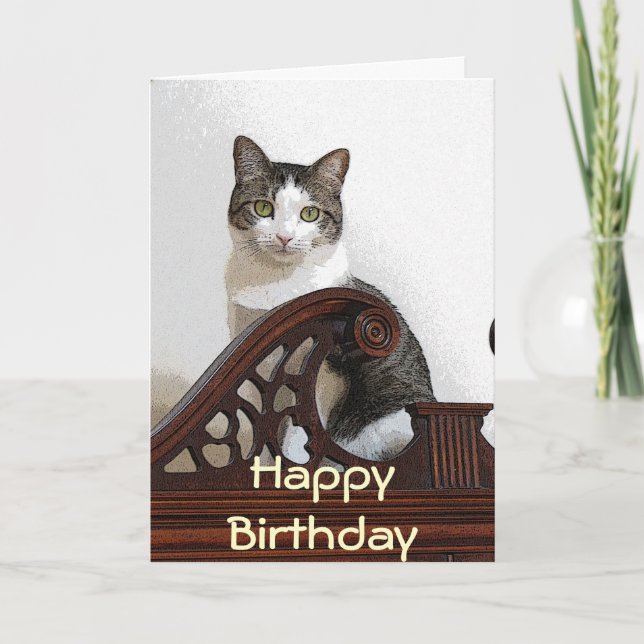 Cartão CA gatinho do aniversário (Frente)
