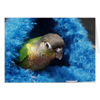 Cartão cabana feliz