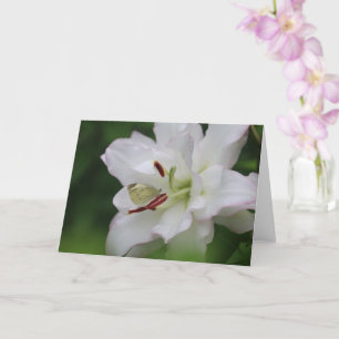 Cartão Cabbage White Butterfly on Lily Photo Blank Card