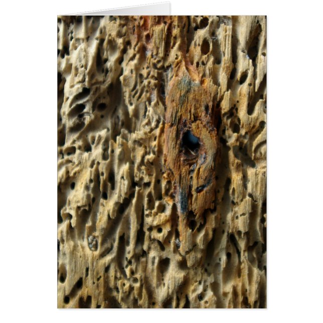 Cartão Cabeça (Frente)