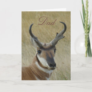 Cartão Cabeça de antílope A5 atingido