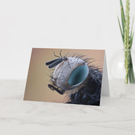 Cartão Cabeça de Inseto de Insetos de Fechamento