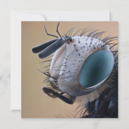 Cartão Cabeça de Inseto de Insetos de Fechamento