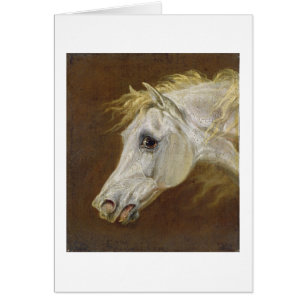 Cartão Cabeça de um cavalo árabe cinzento (óleo em canvas