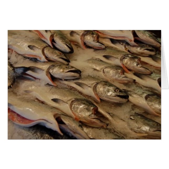 Cartão cabeças salmon (Frente Horizontal)