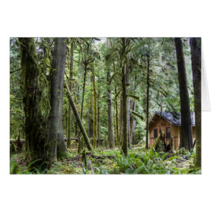 Cartão Cabina PNW
