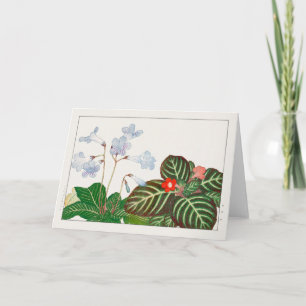 Cartão Cabo primrose, violeta Flame de Tanigami Konan