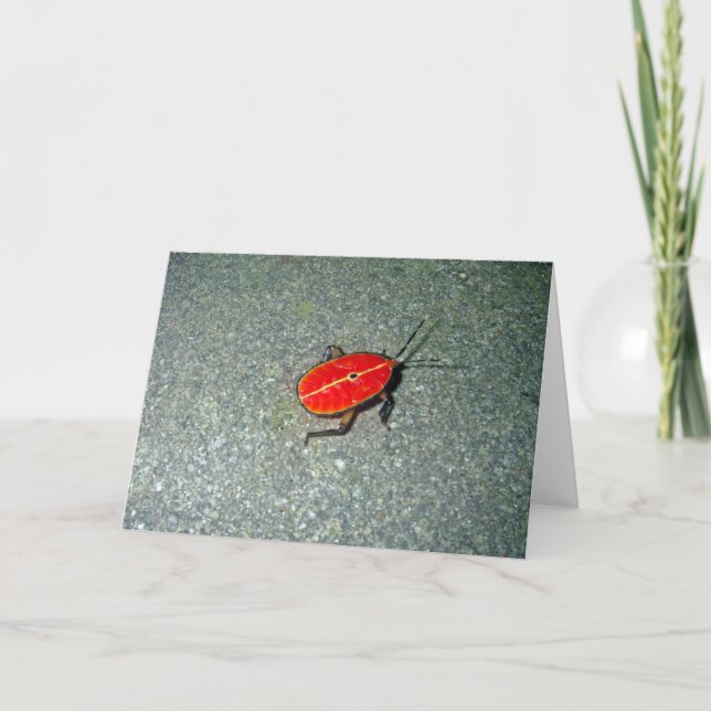 Cartão Cabo Tribulação (Frente)