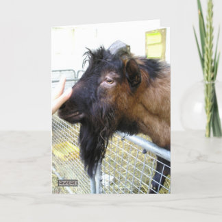 Cartão Cabra Amigável