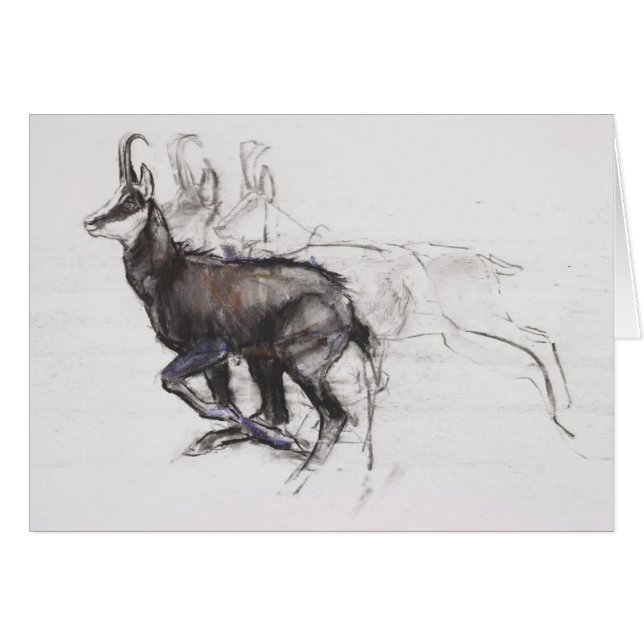 Cartão Cabra-montesa Running (Frente Horizontal)