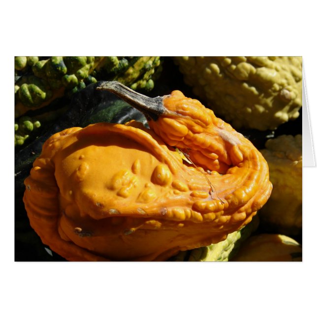 Cartão Cabra Que Parece Um Pato (Frente Horizontal)