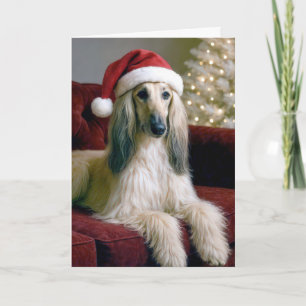Cartão Caça Afegã de Natal em um sofá Velvet