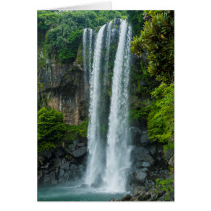 Cartão Caça d'água de Jeongbang, Coreia do Sul