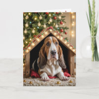 Caça de Natal num Cachorro
