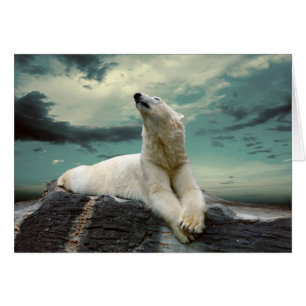 Cartão Caçador de Urso Polar Branco em rock