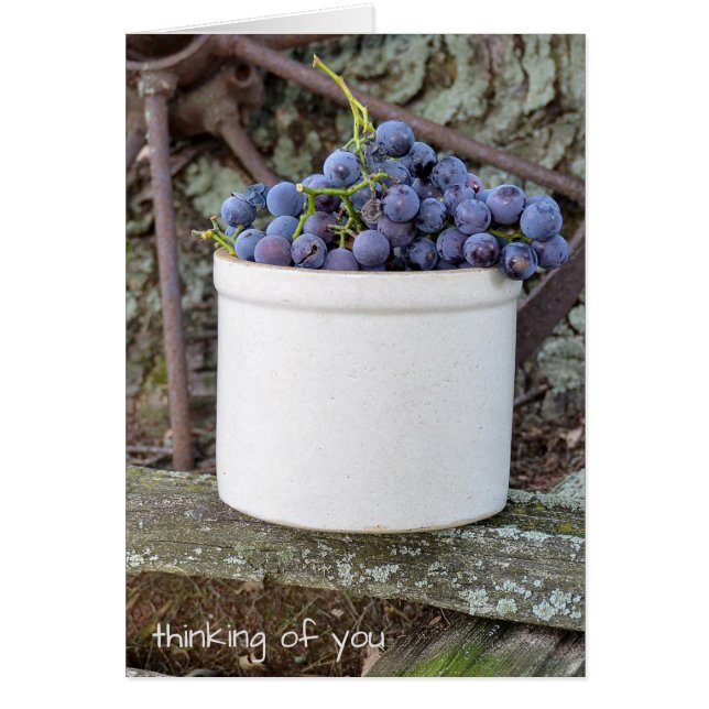 Cartão cacho de uva púrpura em pedacinhos velhos (Frente)