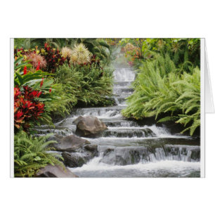 Cartão Cachoeira