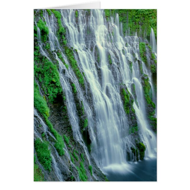 Cartão Cachoeira cênica, Califórnia (Frente)