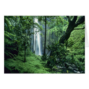 Cartão Cachoeira Hanakapiai ao longo da Costa Na Pali, Ka