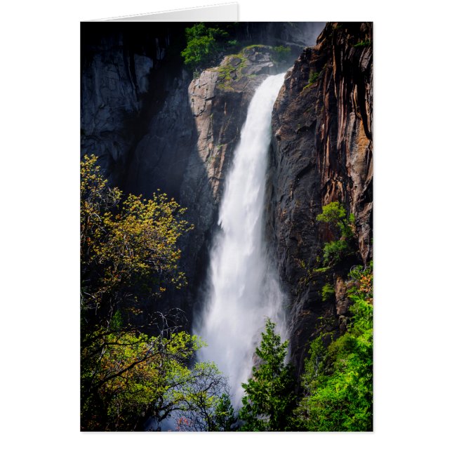 Cartão Cachoeira Lower Yosemite Falls (Frente)