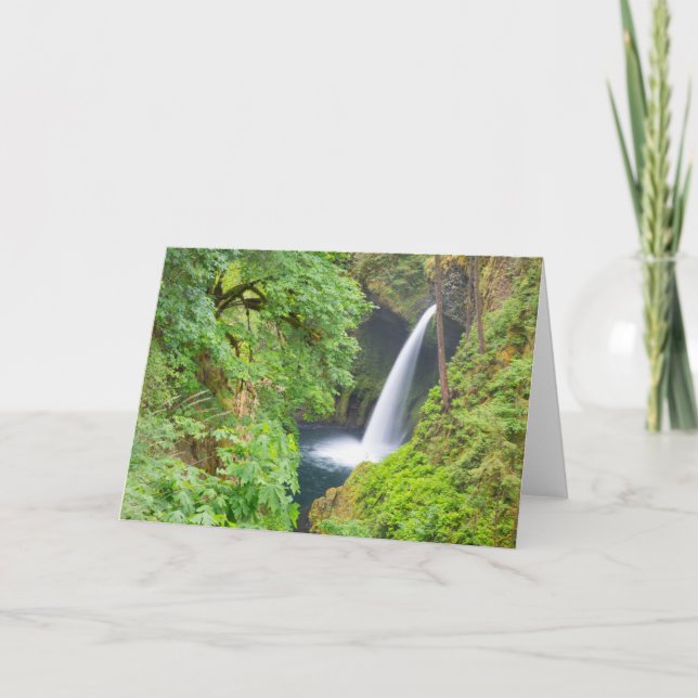 Cartão Cachoeira Metlako (Frente)