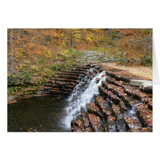 Cartão Cachoeira no Laurel Hill State Park II (Frente Horizontal)