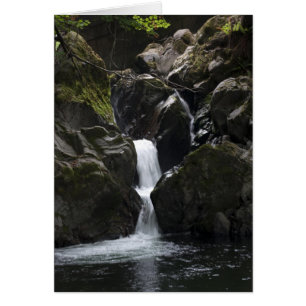 Cartão Cachoeira pequena