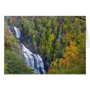 Cartão Cachoeira Whitewater no Nantahala Nacional