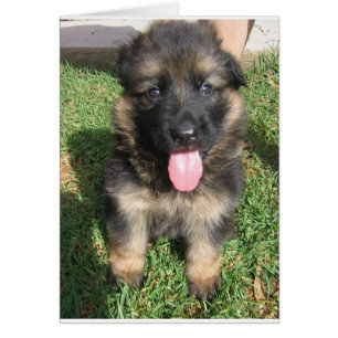 Cartão cachorrinho do german shepherd.png