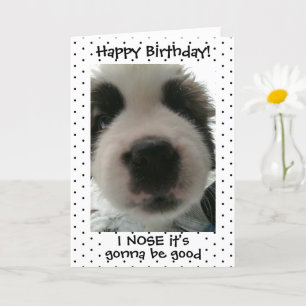 Cartão Cachorrinho Fofo Eu Adivinho que é seu Aniversário