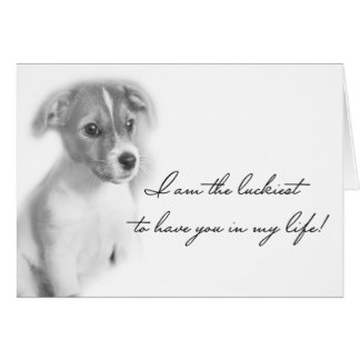 Cartão Cachorro