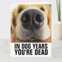 CACHORRO ANOS SEU É MORTO DOG NO ANIVERSÁRIO